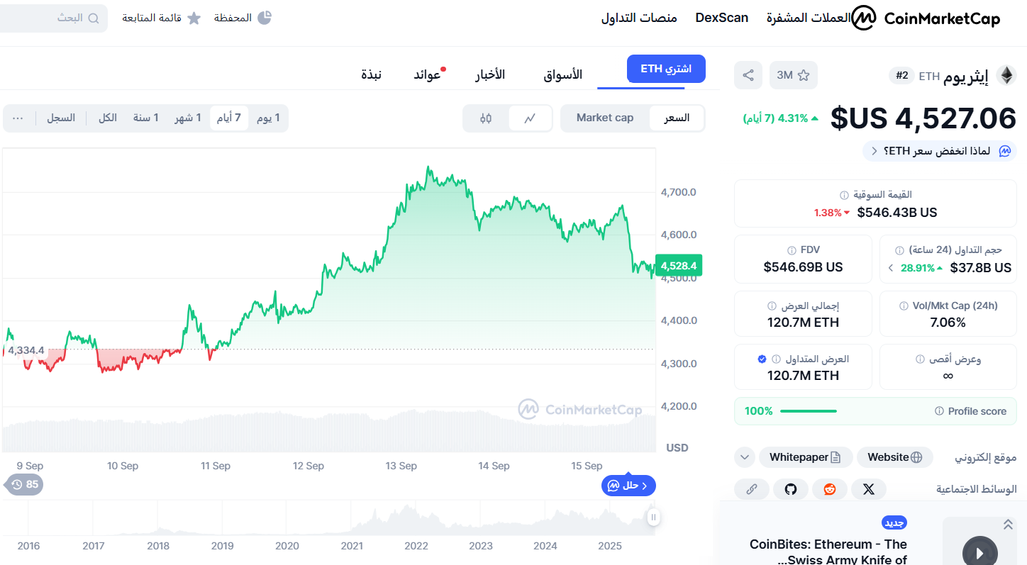 أفضل عملات رقمية حلال للشراء خلال يناير 2026
