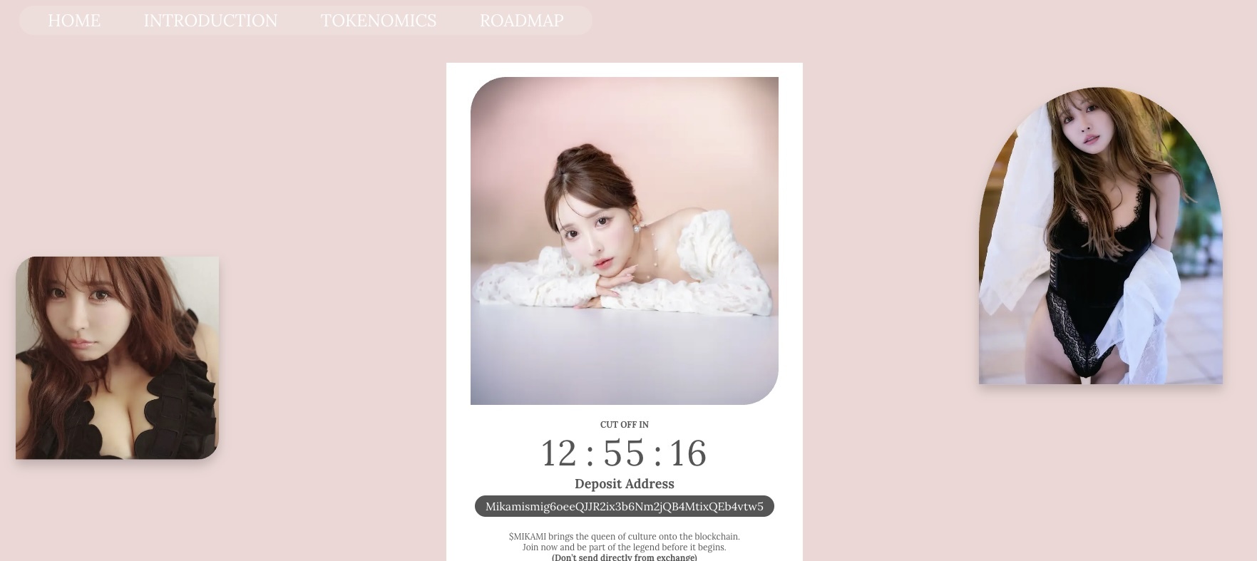 三上悠亞迷因幣$MIKAMI 兩天募資310萬美元！Solana生態Solaxy成焦點