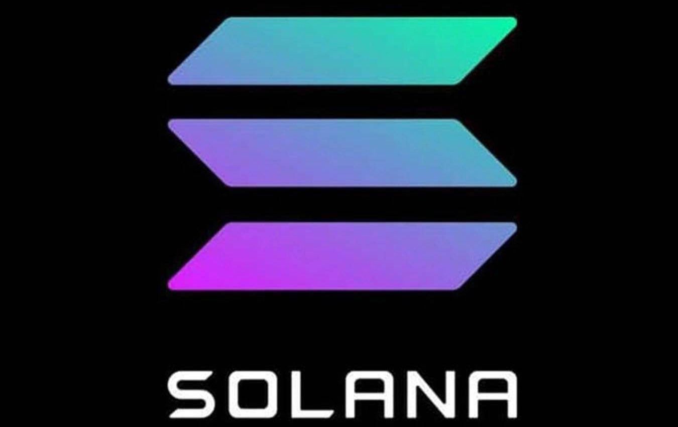 【追跡あり/匿名配送】【RF】Great Library of Solana Spopy (@spoperalbus) / X
