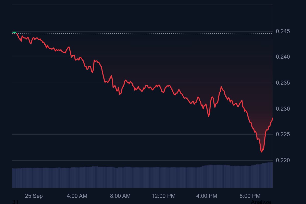 狗狗幣價格預測：DOGE守住$0.23支撐位巨鯨與ETF改變市場敘事