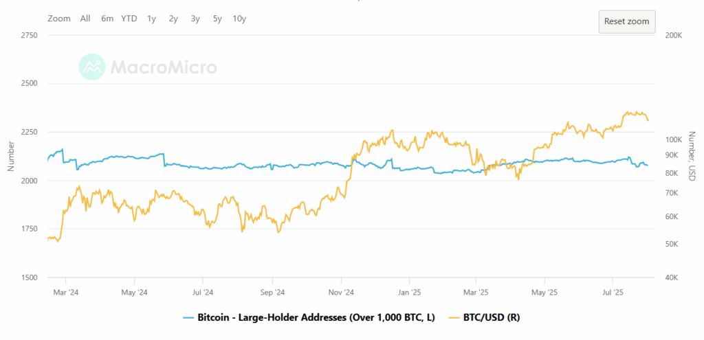 Graf vývoje bitcoin velryb