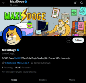 Oficiální X účet Maxi Doge