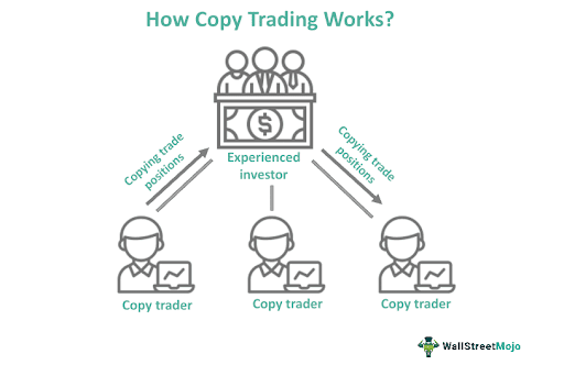 Jak funguje copytrading, Zdroj: Wall Street Mojo