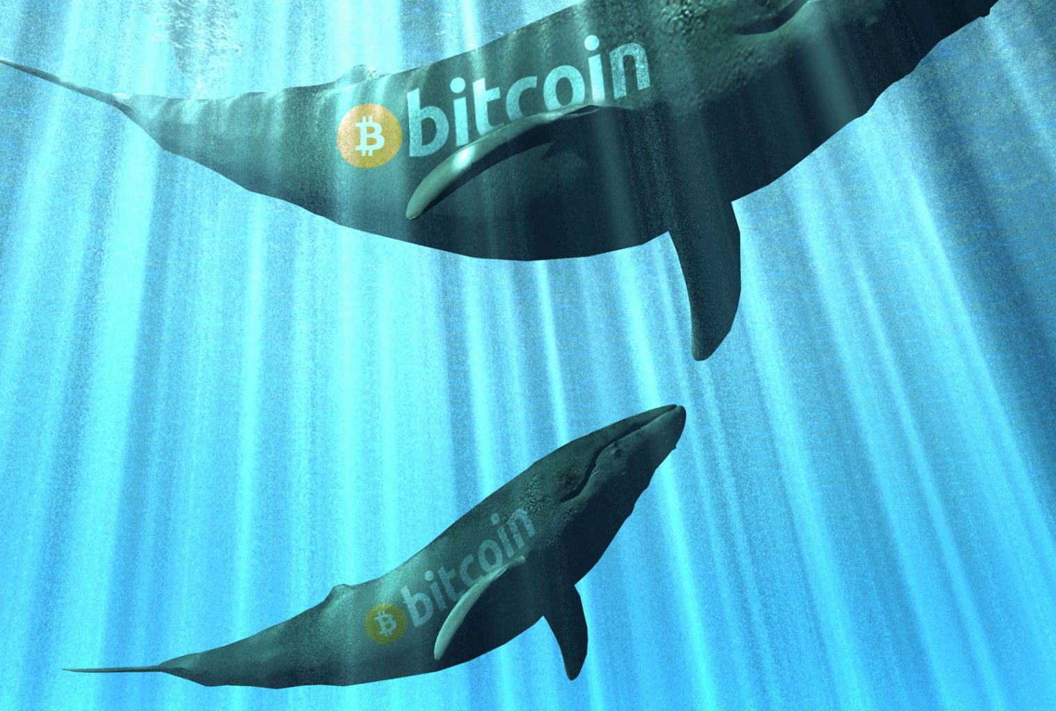Über $300 Millionen in Bitcoin erwacht nach 10 Jahren