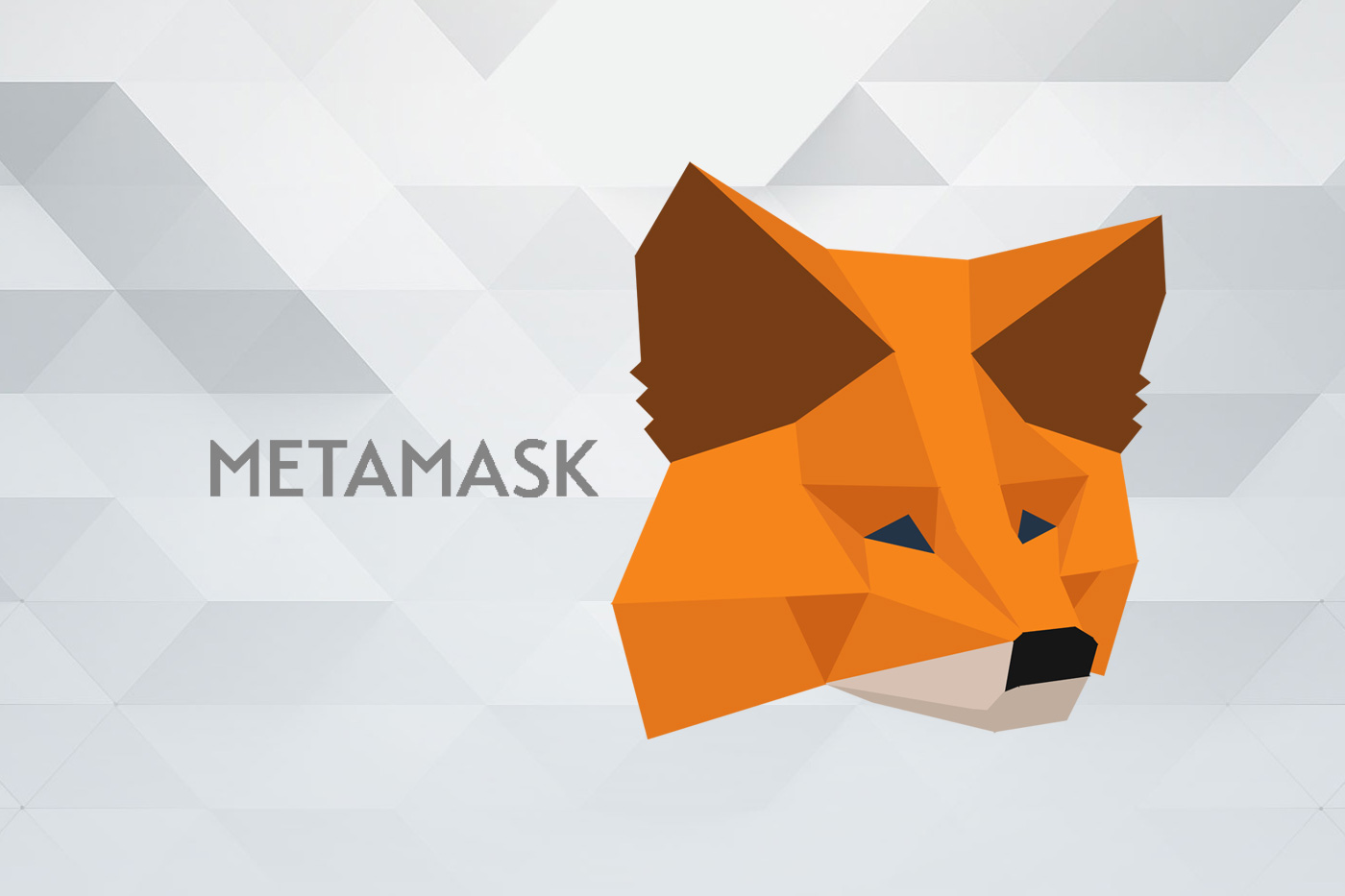 MetaMask dehnt sich auf Bitcoin und Solana aus und will die Gasgebühren abschaffen