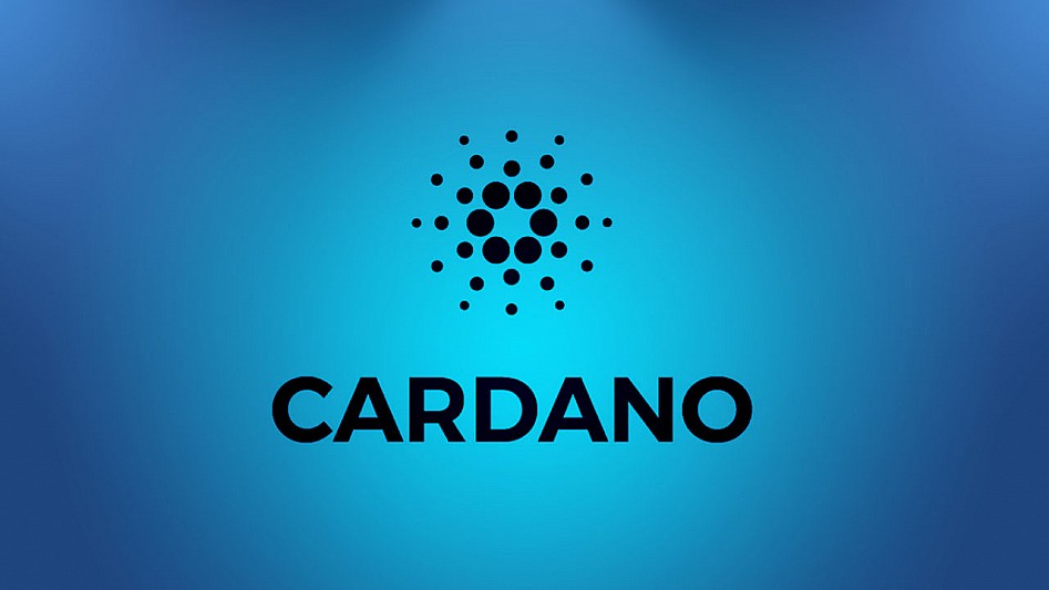 Cardano führt Entwickleraktivitäten an, Ethereum behält Dominanz im Ökosystem
