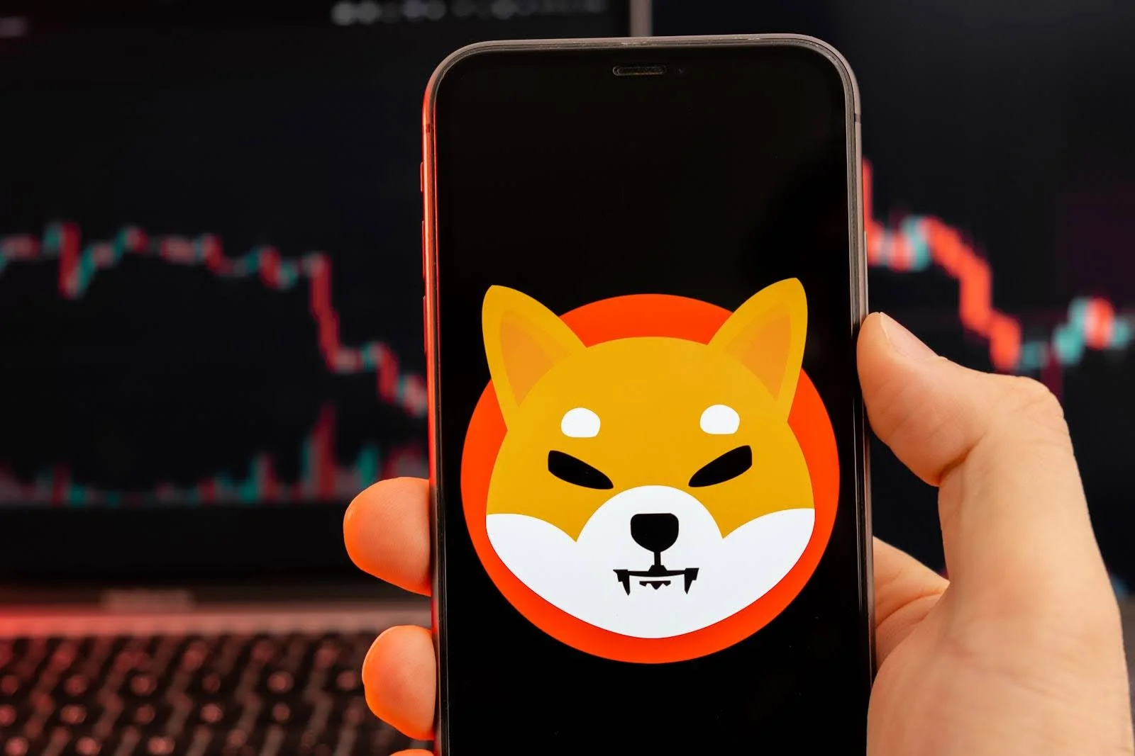 Shiba Inu kämpft um Aufrechterhaltung der Dynamik, da das Interesse der Großinvestoren nachlässt