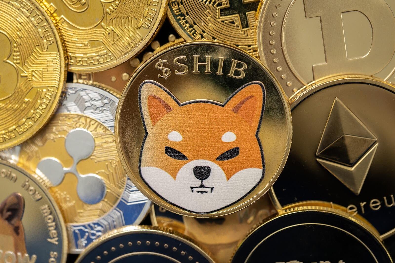 Die Aktivität der Shiba Inu-Wale stagniert, während der Markt auf die nächsten Schritte wartet