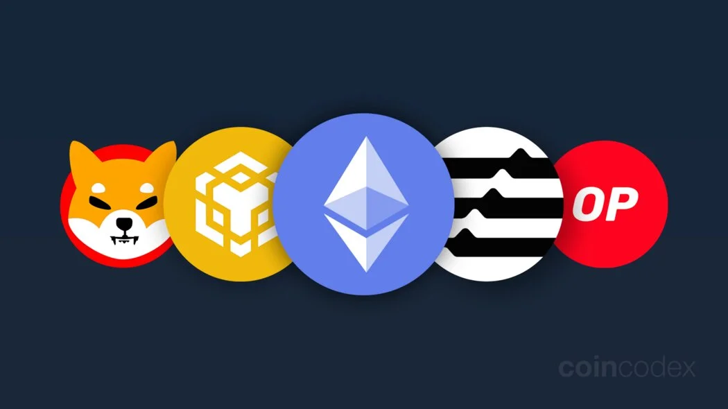 Altcoin-Markt steht vor Turbulenzen, da wichtige Unterstützungsniveaus Signale senden