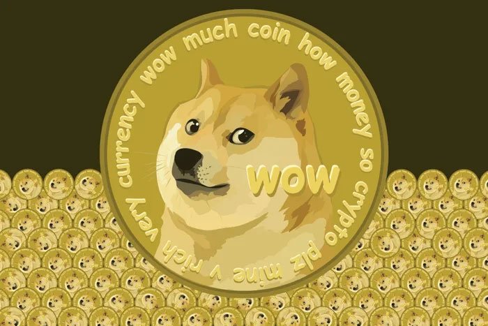 Surge in Dogecoin Activity Signals Growing Investor Confidence