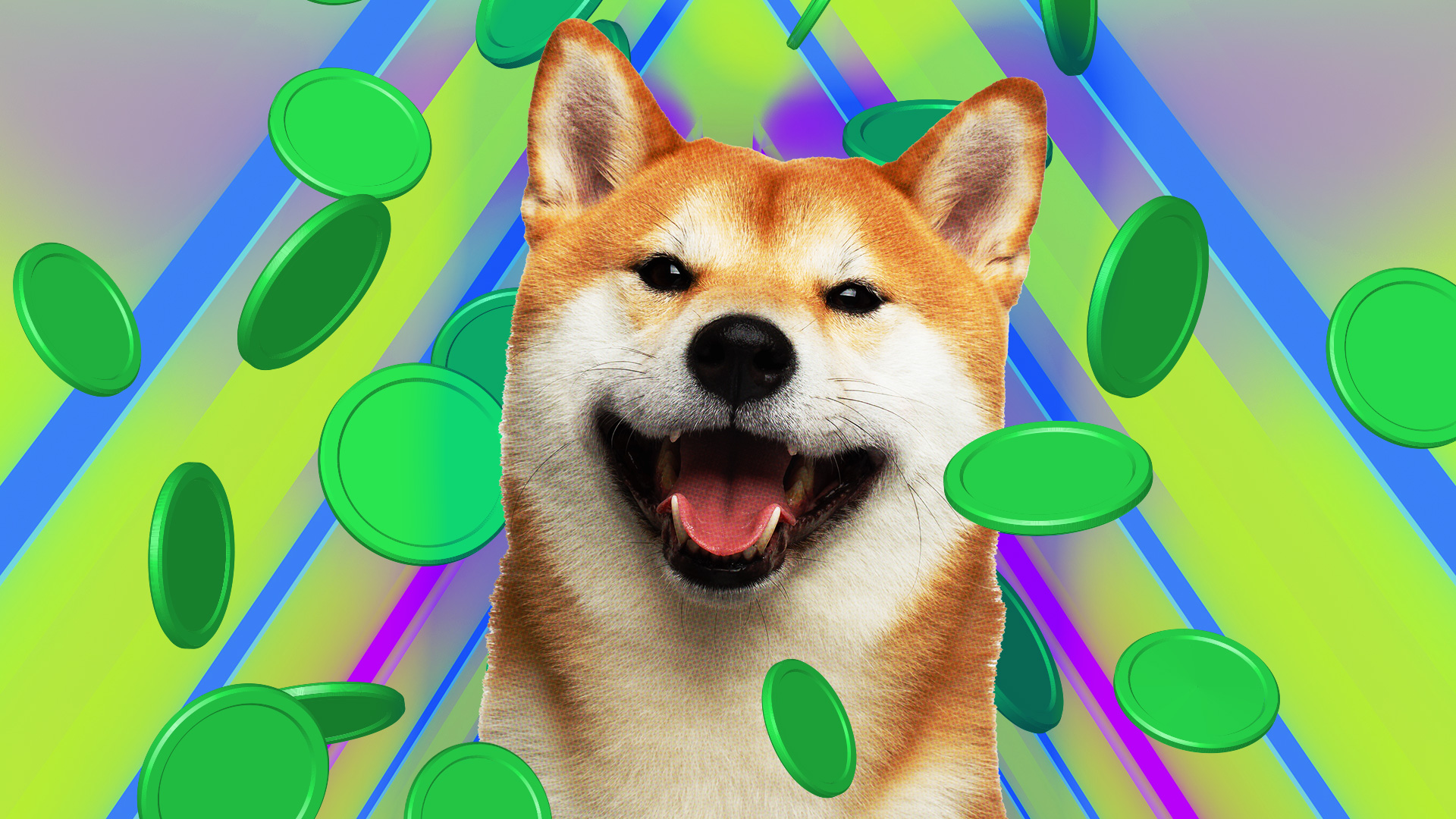 Shiba Inu Could Explode 160% – But This New Altcoin Could Be a Better Investment