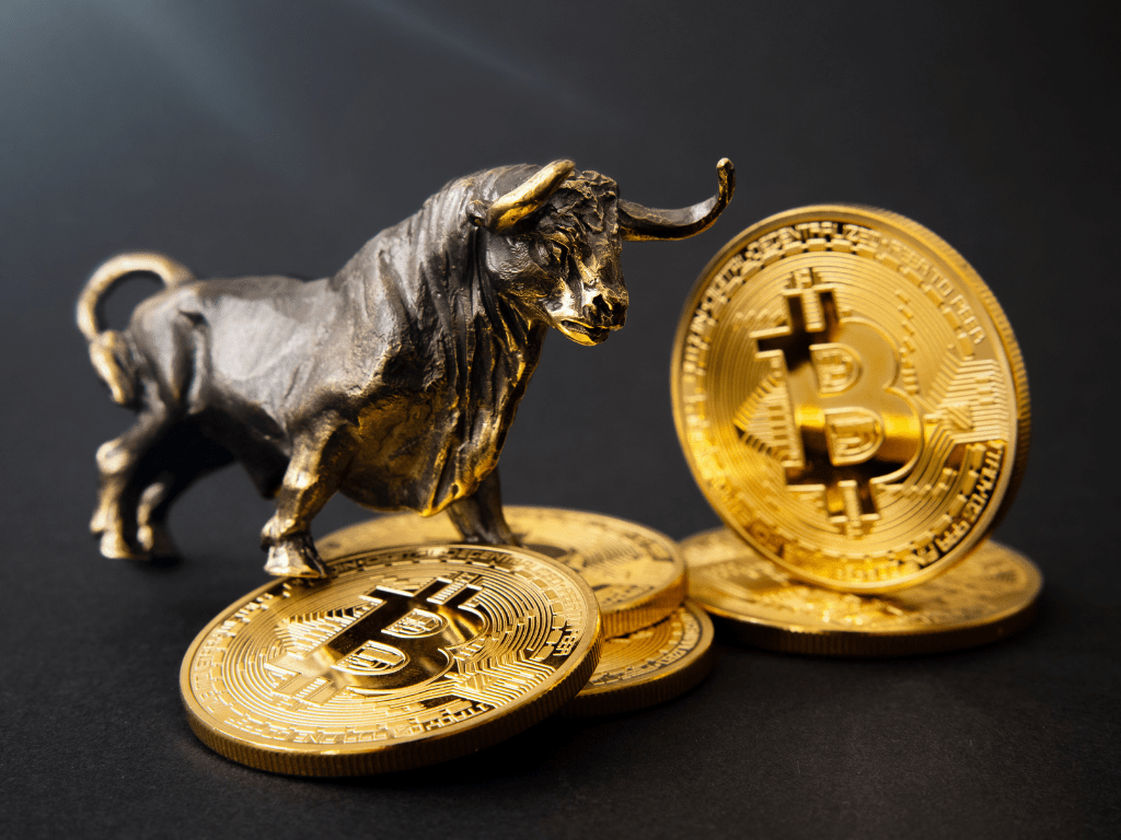 We Still Haven’t Experienced the Real Bitcoin Bull Run, According to Blockstream CEO