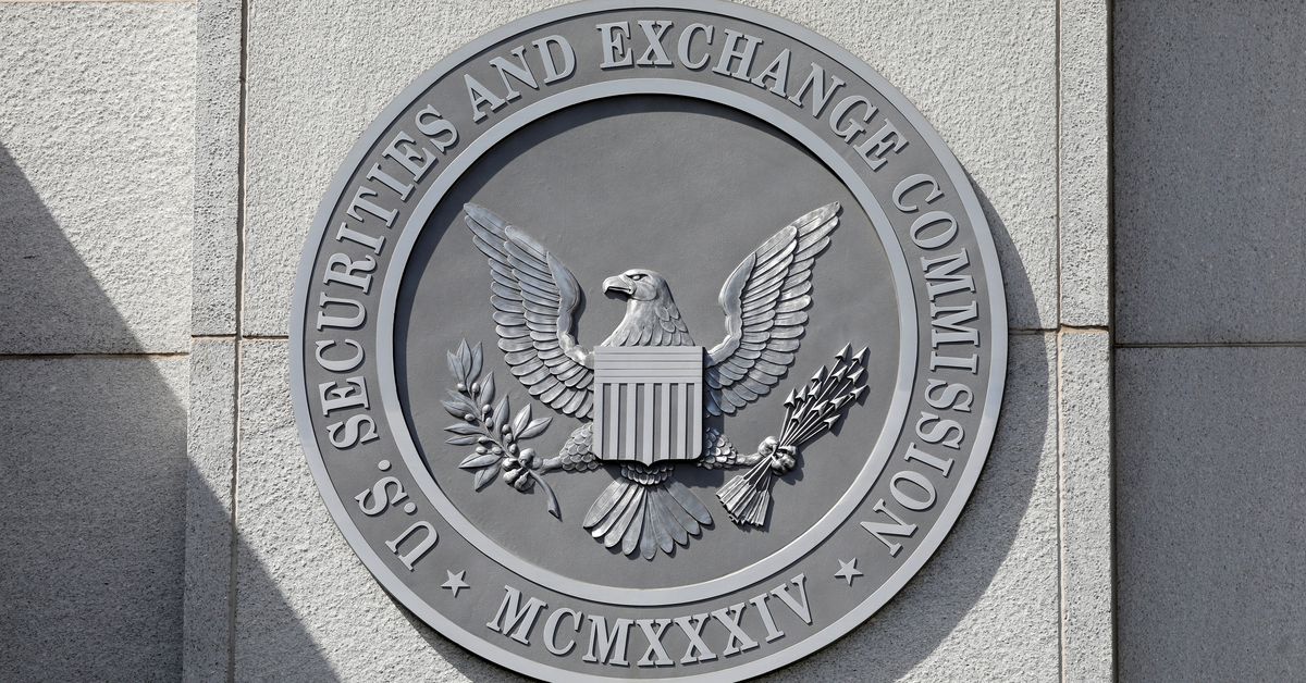 Crypto ETF Frenzy Marks SEC Transition Ahead of Trump Administration