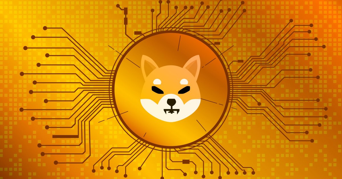 Here’s How Much a $100 Investment in Shiba Inu Would Be Worth Today