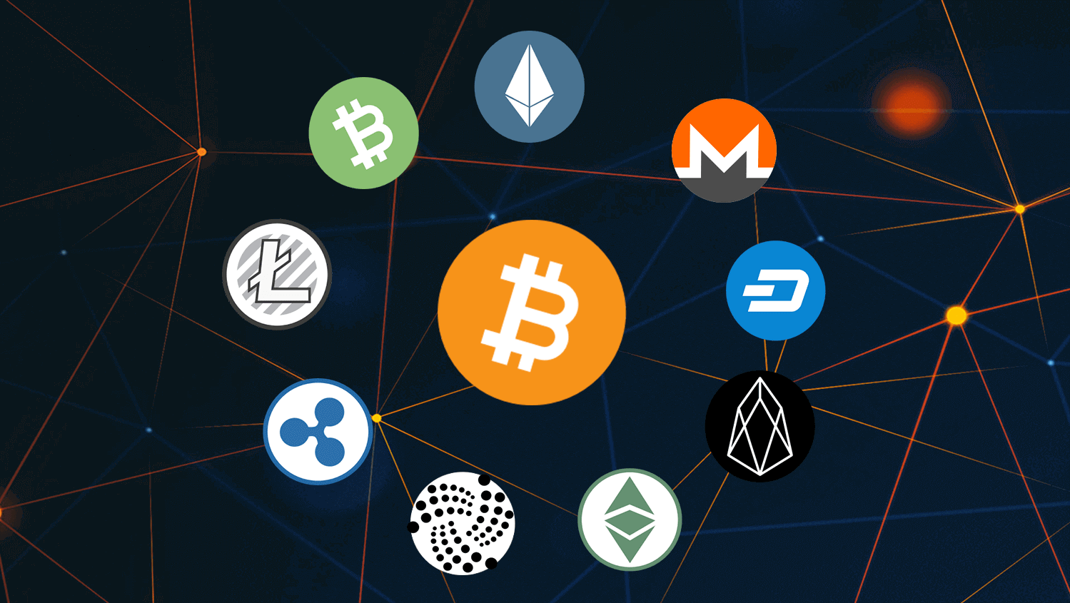 Here’s Which Altcoins Are Dominating Wallet Counts and User Engagement