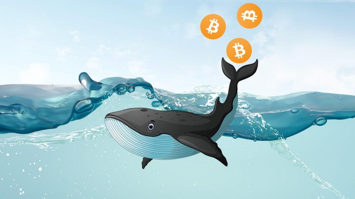 Bitcoin Whale Places $368M Short Bet Ahead of Key Economic Reports