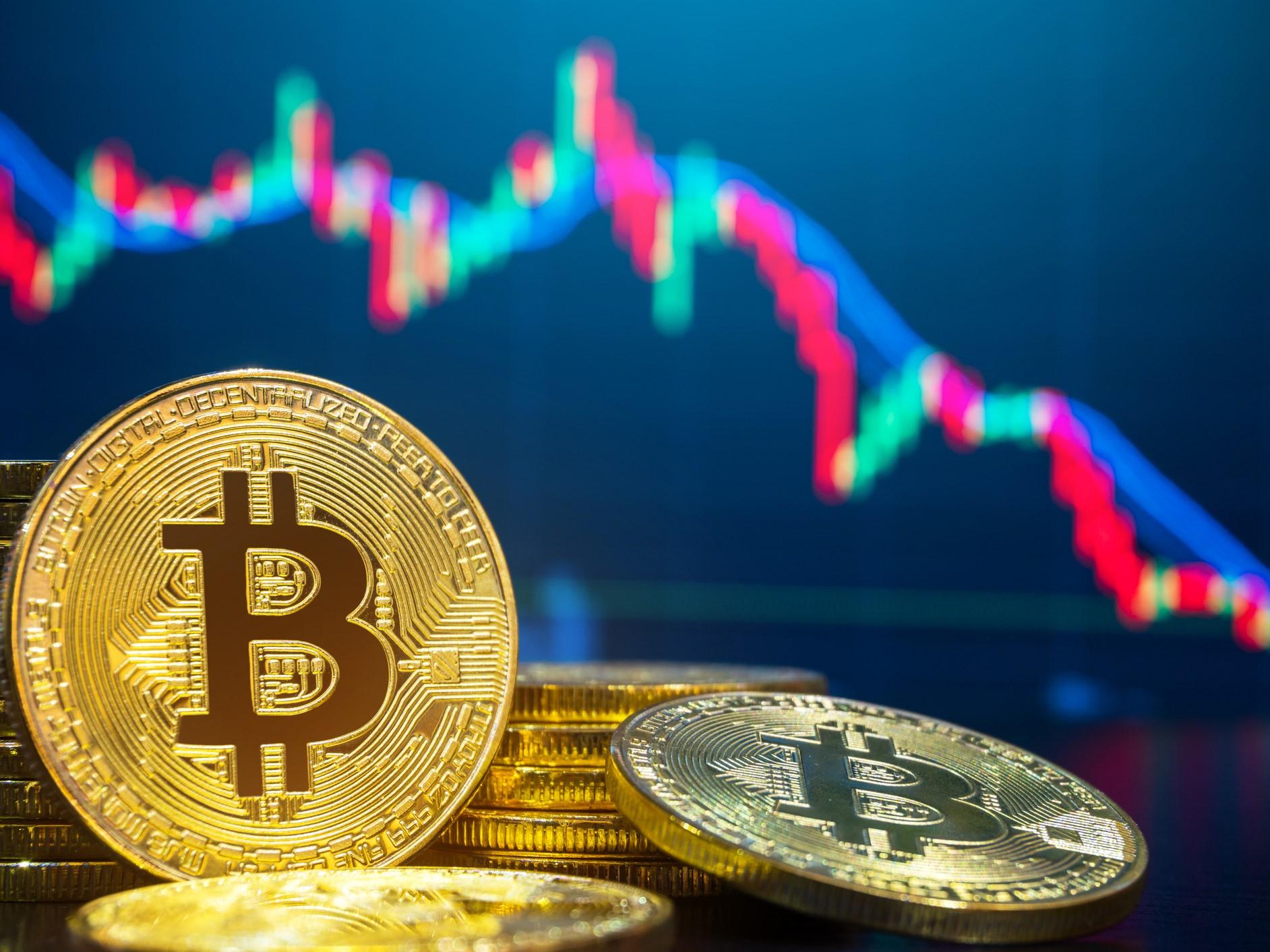 Bitcoin Dominates Portfolios as Institutional Adoption Surges
