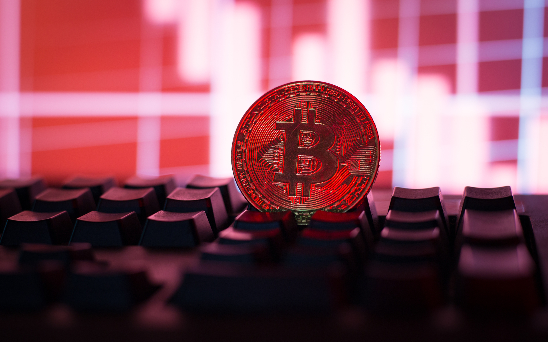 As Moody’s Downgrades U.S., Bitcoin Signals Investor Confidence