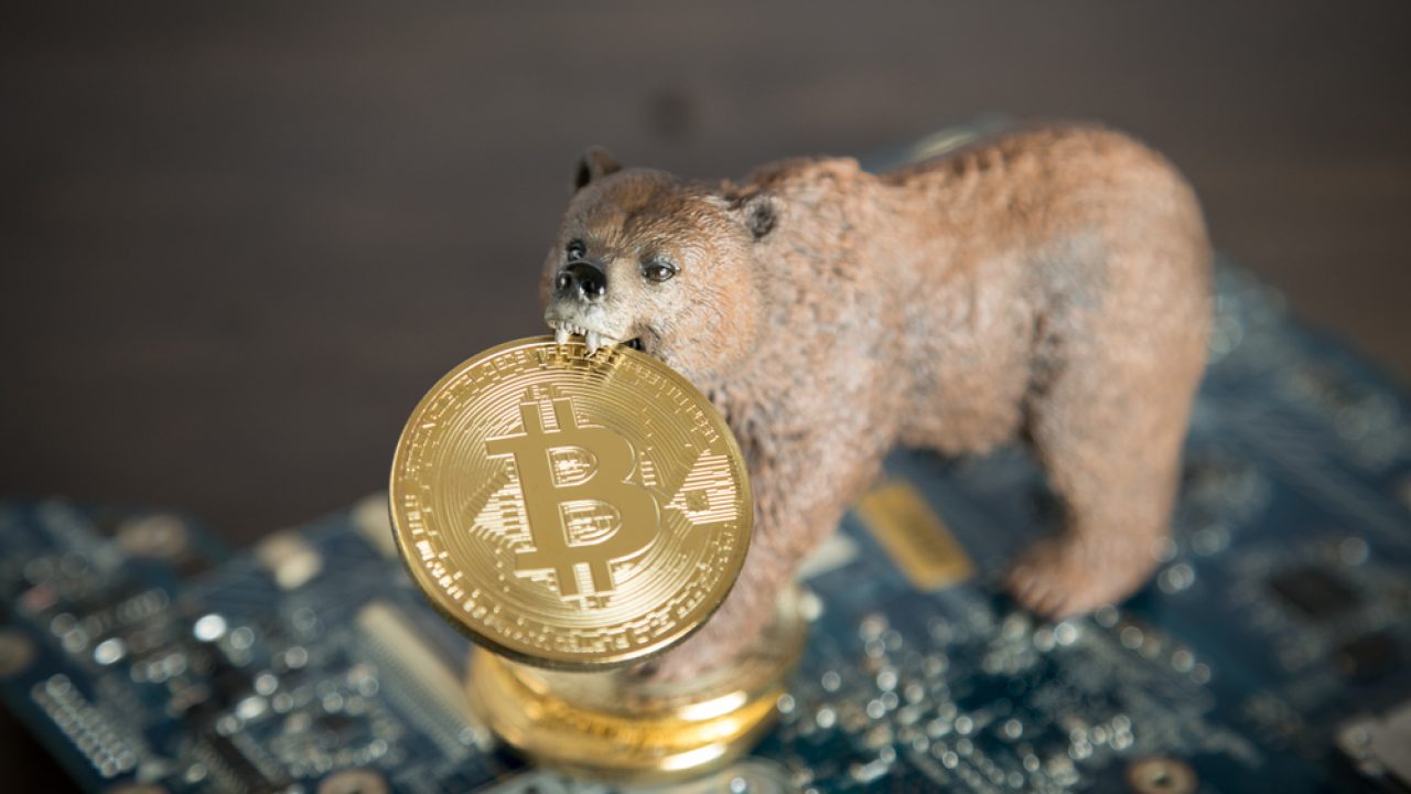 Bears Dominate the Crypto ETF Markets This Week