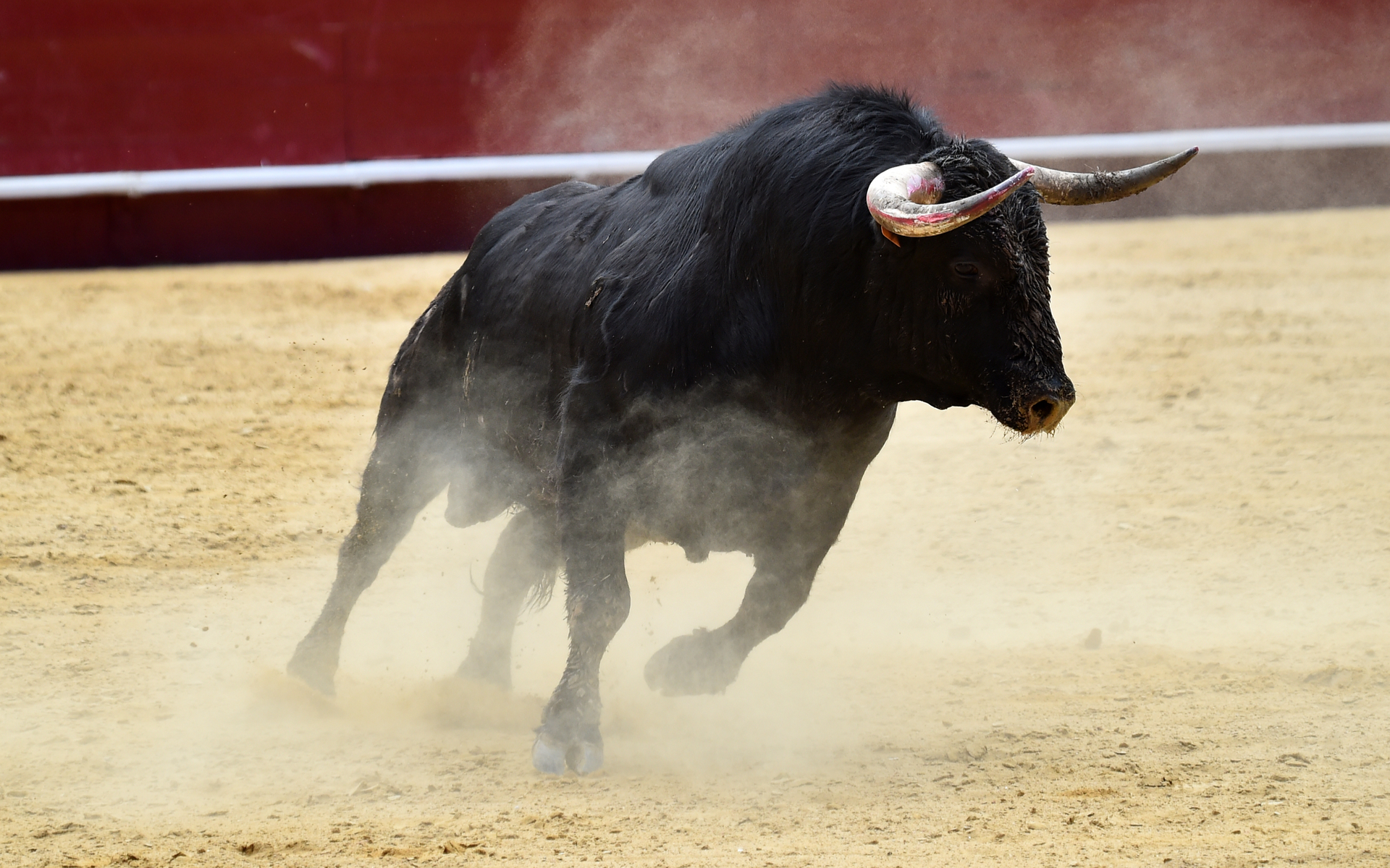 Crypto Market May Be in Early Stages of Multi-Year Rally, Says Real Vision CEO