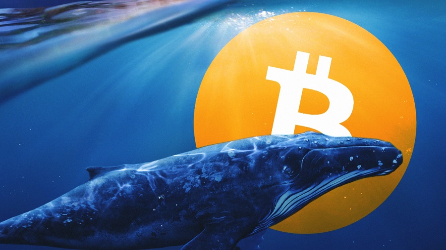 New Bitcoin Whales Drive Investment Surge to Nearly $108 Billion