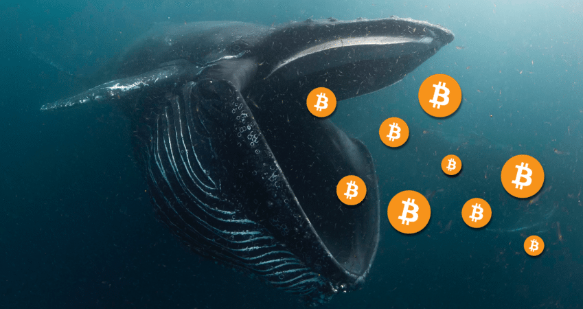 Massive Bitcoin Move Sparks Panic, Price Tests Range Low