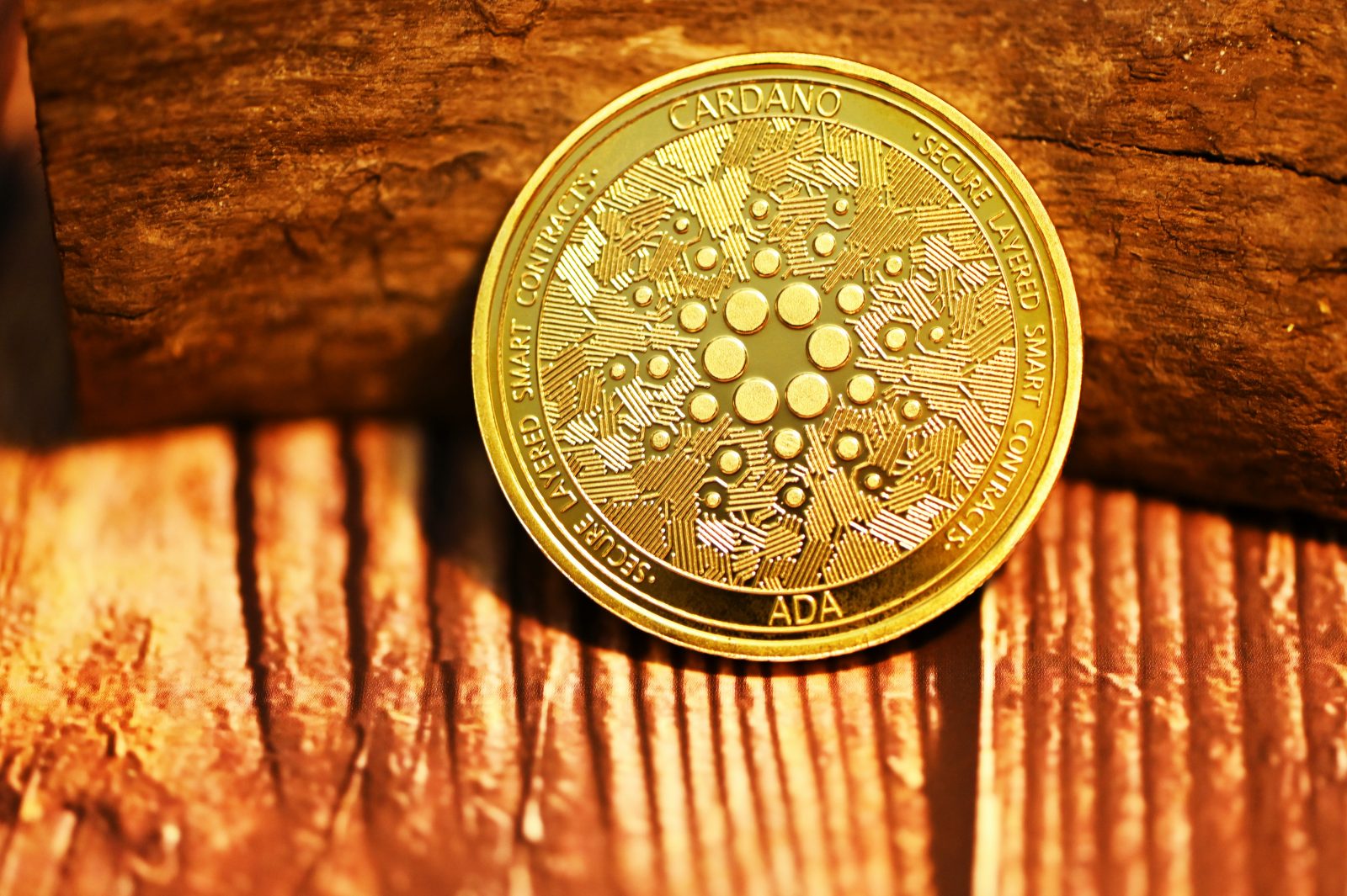 Cardano Surges, Reaching Highest One-Day Gain Since January