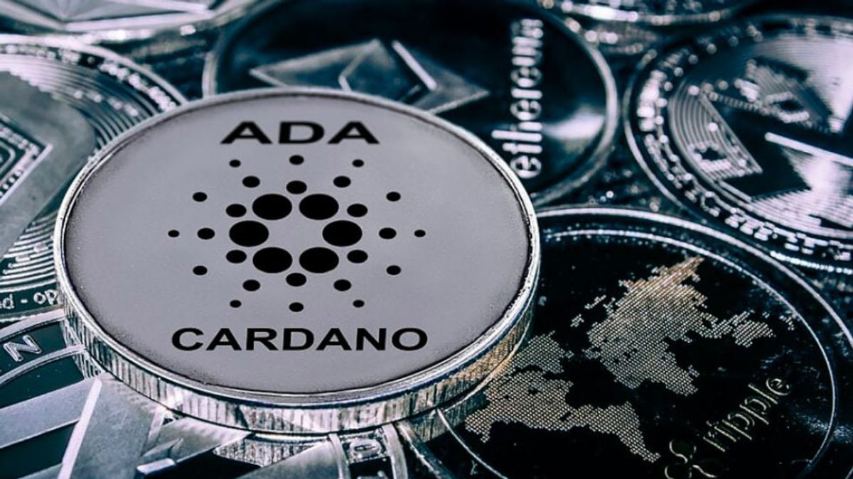 Cardano Faces Growth Challenges as User Base Remains Flat