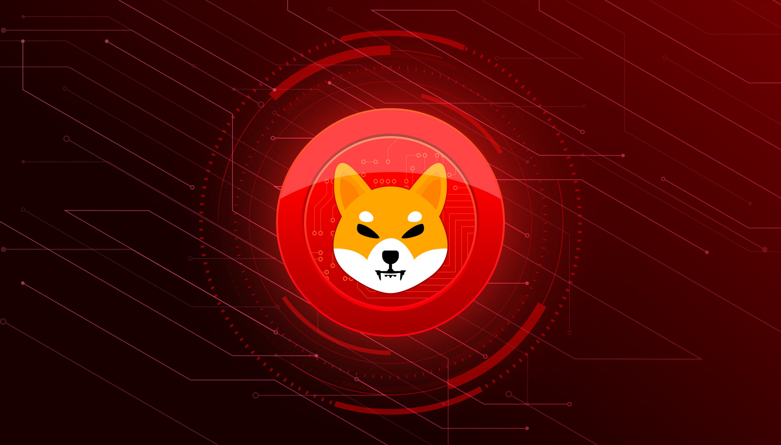 New Data Shows Shiba Inu is at Risk Due to Centralization