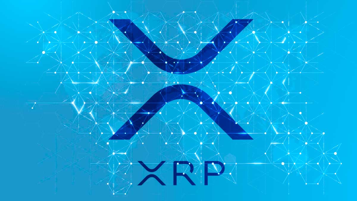 XRP Rally Expected as Whale Investments Increase