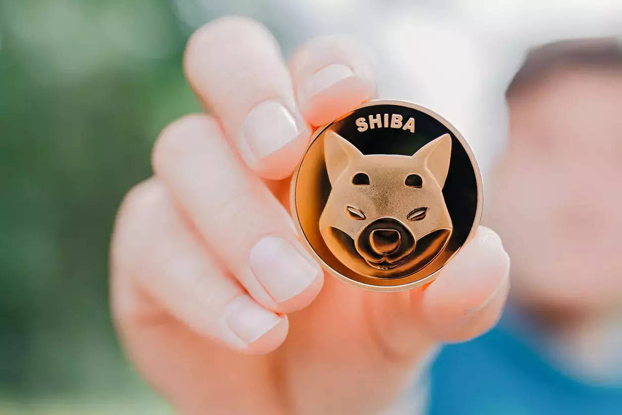 Shiba Inu Unveils Final Ecosystem Token, Launching January 2025