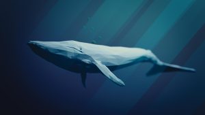 crypto whale