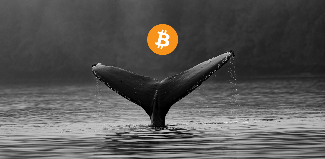 After 11 Years, Bitcoin Wallet Moves $257M in a Single Transaction