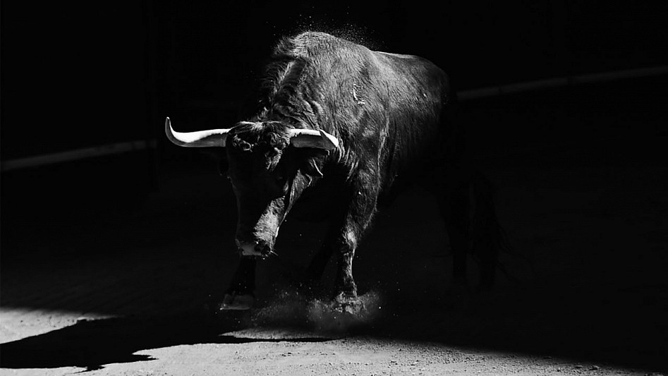 Crypto Expert Predicts Massive Bull Run on the Horizon