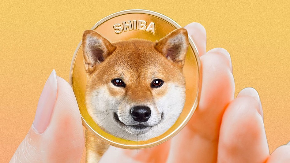 Large Shiba Inu Transactions Decrease Dramatically