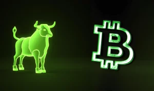 bitcoin bull