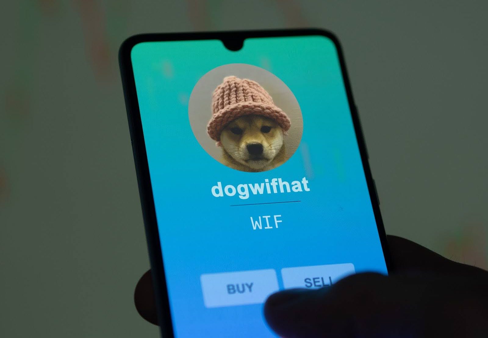 Dogwifhat Price Plunges over 75% Since April Peak