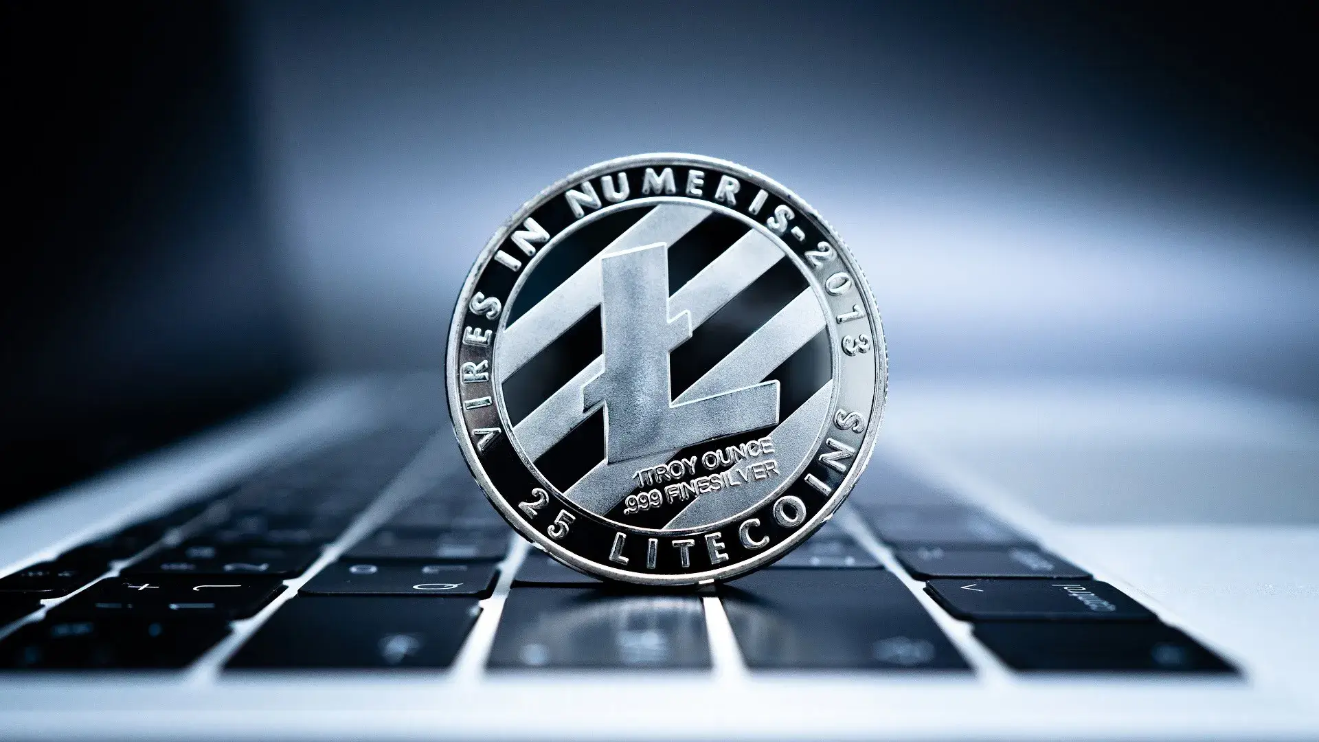 Litecoin Surges as Whales Add 181K LTC Amid ETF and Treasury Boost