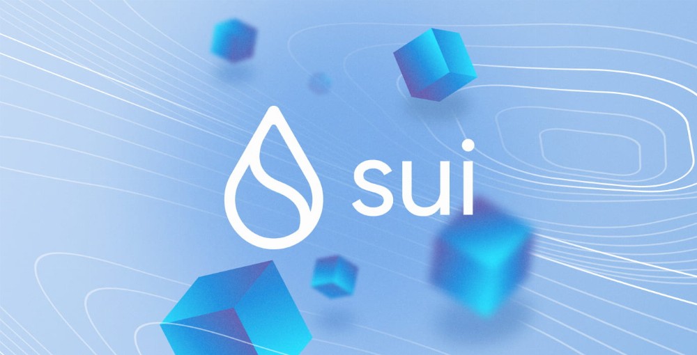 Sui Blockchain Emerges as a Major Contender, Says Ex-Goldman Sachs Exec