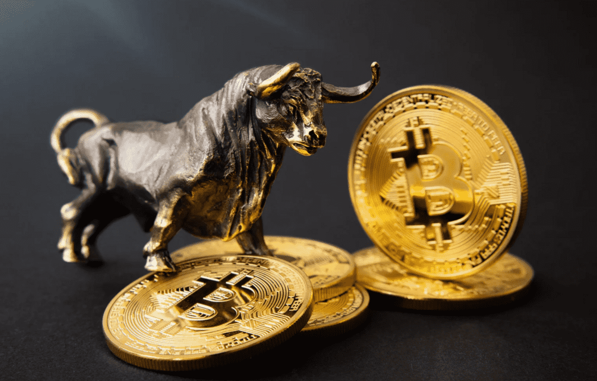 Best Crypto Presales to Maximize Bull Run Profits
