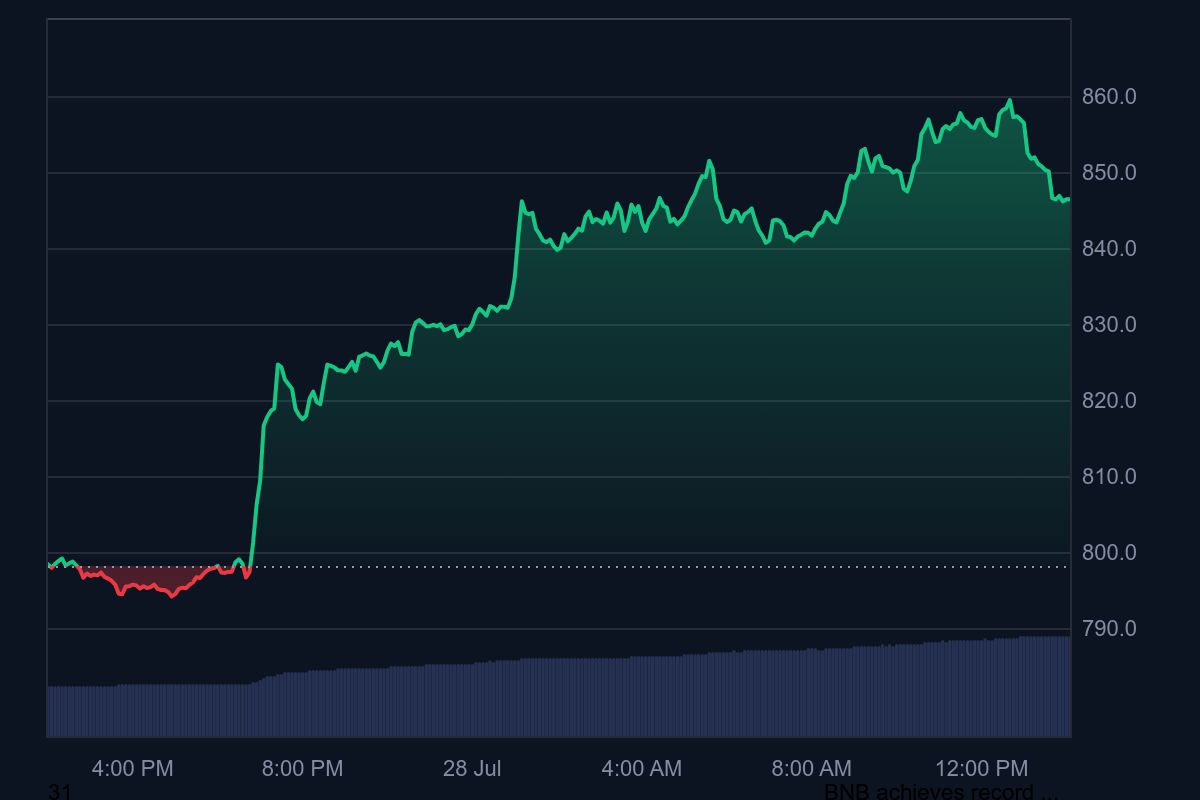 BNB Hits New All-Time Excessive Amid Token Launch Frenzy