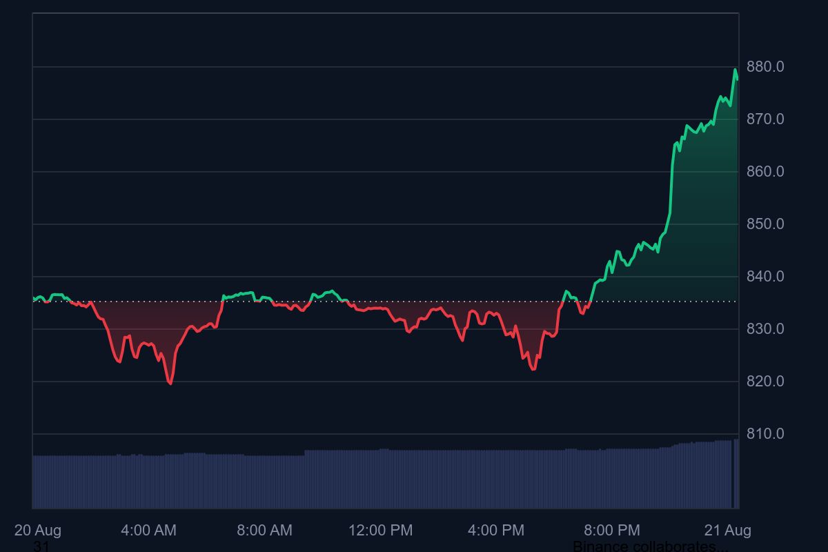 BNB Hits All-Time Excessive at 0 Amid Provide Squeeze and Ecosystem Increase