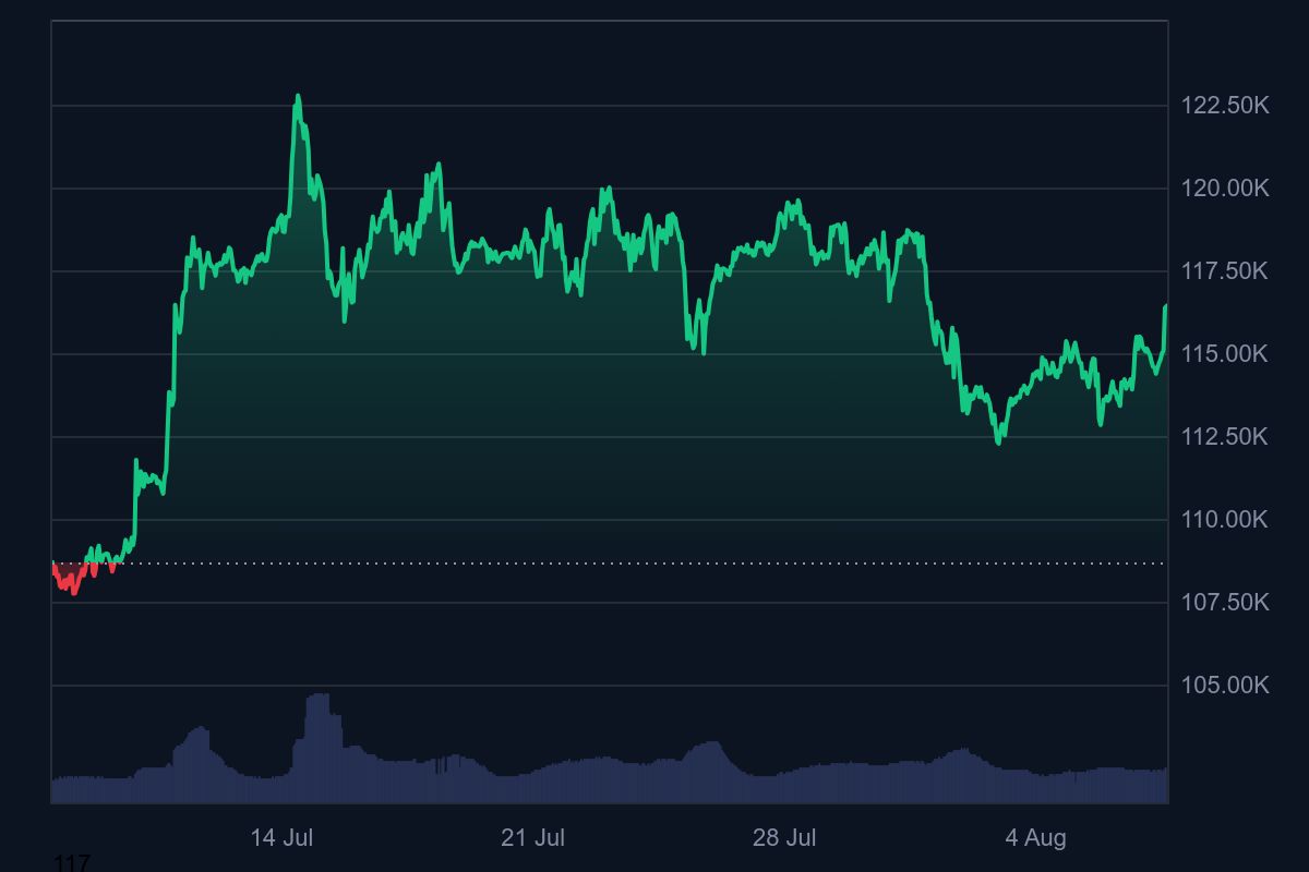 Bitcoin Rises Above $116K as ETF Flows Rebound and Trump Orders 401(k)  Crypto Access