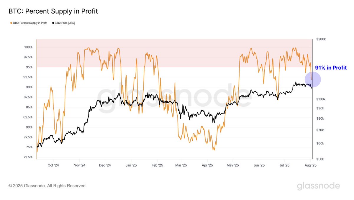Bitcoin Revenue Provide Drops to 91%—Swissblock Flags Important Help Vary