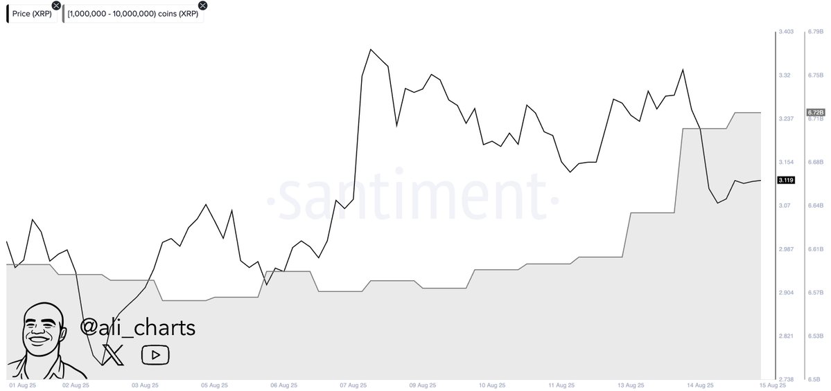 XRP Whales Accumulate .8B Regardless of Market Cap Drop
