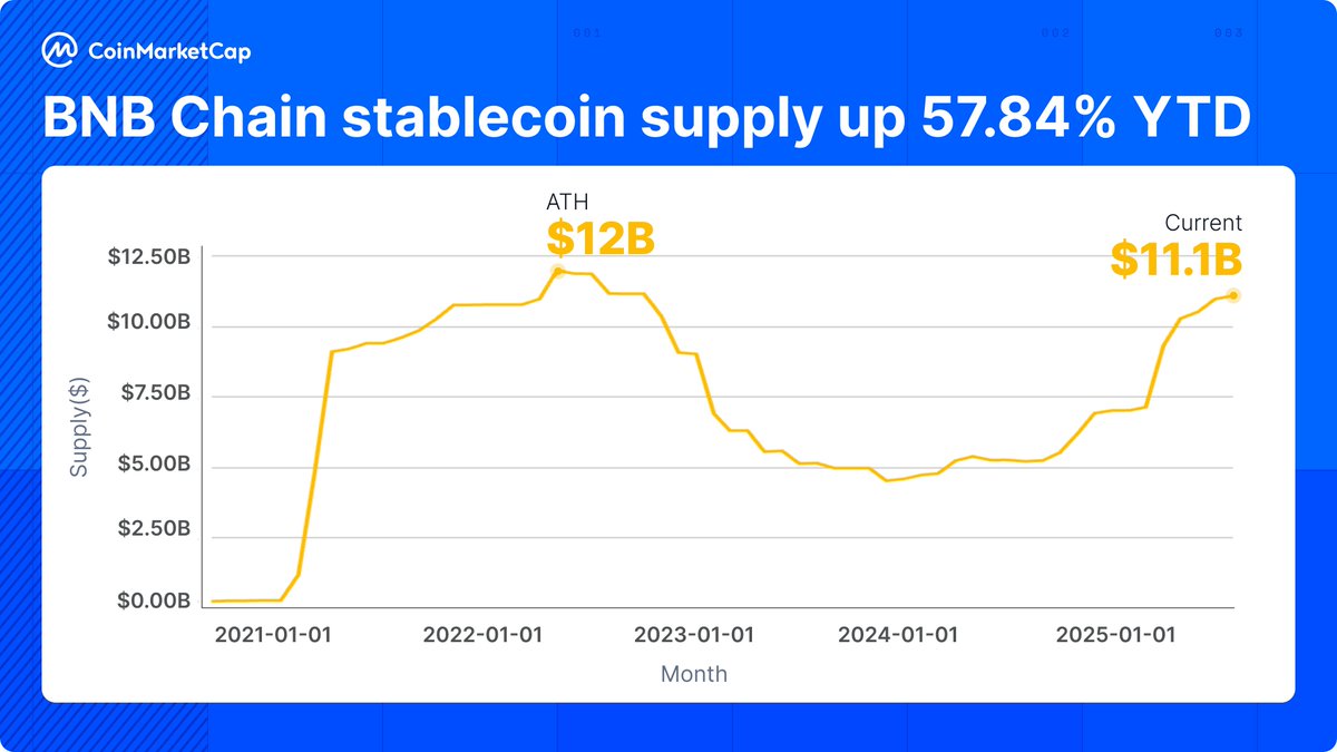 BNB Chain Stablecoin Provide Surges 58% in 2025, Nearing Report Excessive