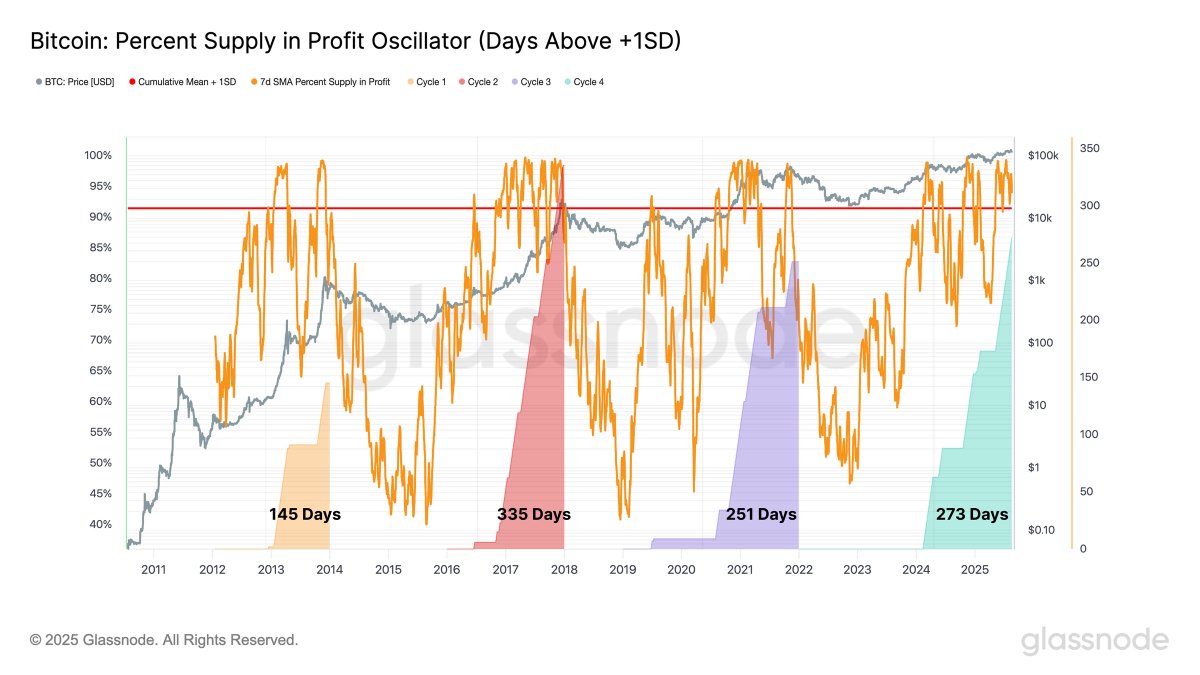 Bitcoin Holds Profitability for 273 Days, Nears File-Breaking Cycle