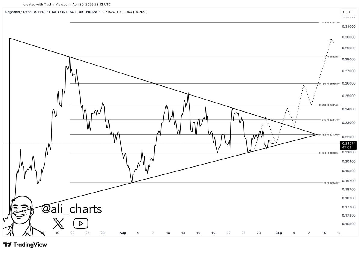 Dogecoin Eyes Breakout as $0.23 Level Becomes Key Resistance