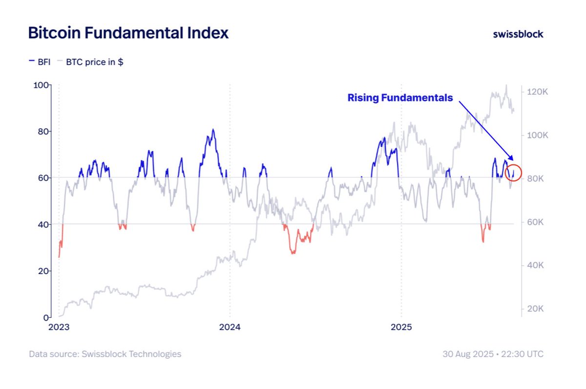 Bitcoin Fundamentals Strengthen as Community Progress and Liquidity Rise