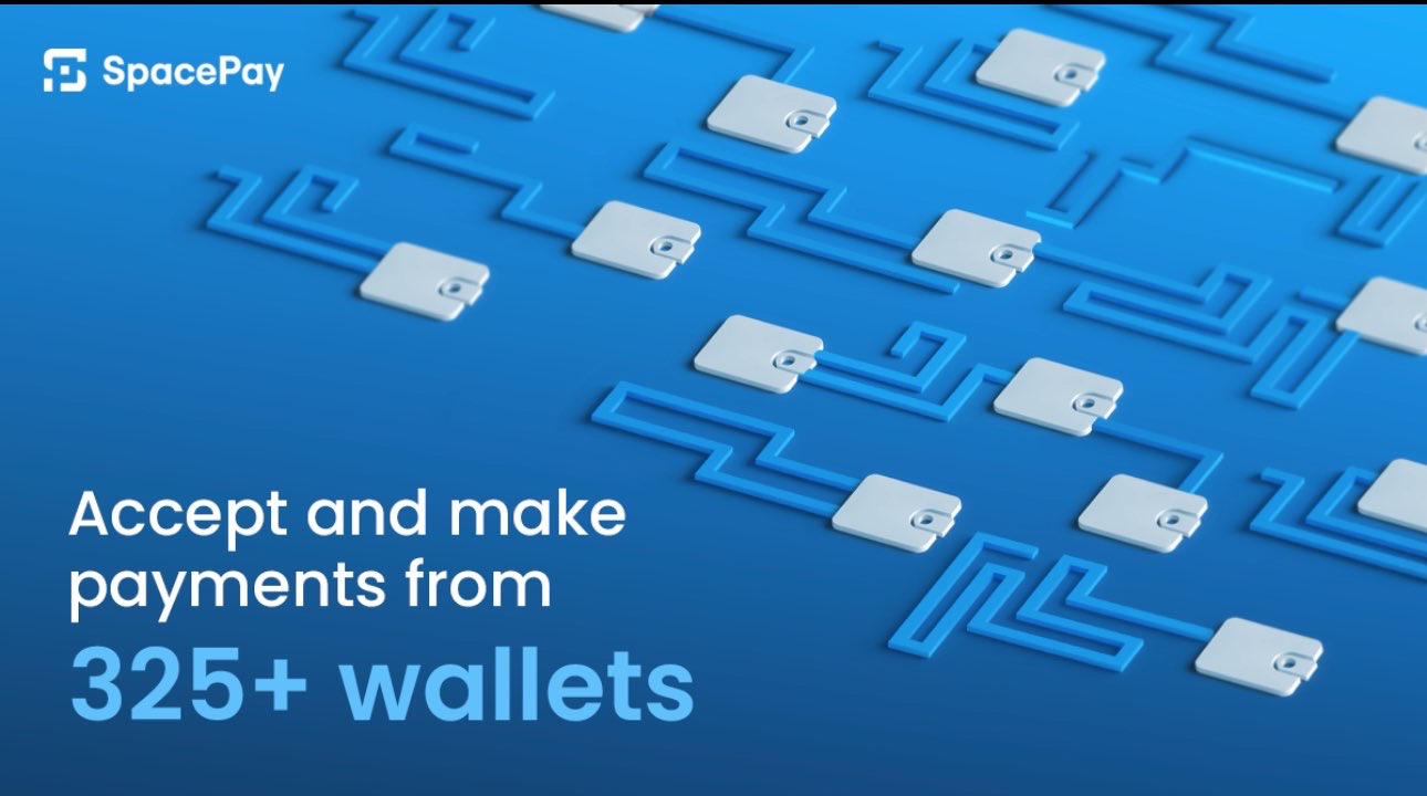 Why SpacePay Would possibly Simply Be the Smartest Crypto Purchase This Summer time – And It’s Now in Presale